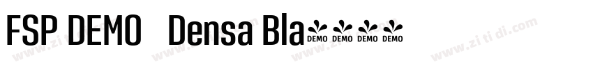 FSP DEMO   Densa Bla字体转换